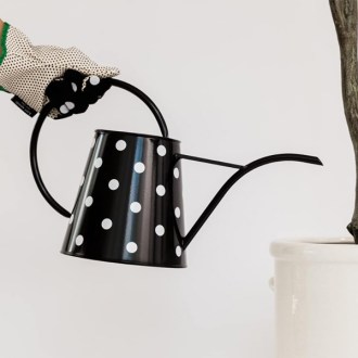 Kate Spade New York 2.5 Liter Indoor Watering Can