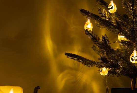 Best Halloween Trees