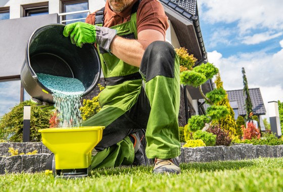 Should I fertilize my lawn in the summer?