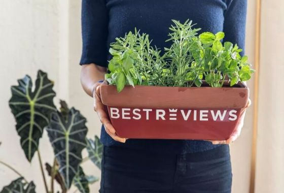 Save your money on grocery store herbs with these easy-to-grow herb garden systems