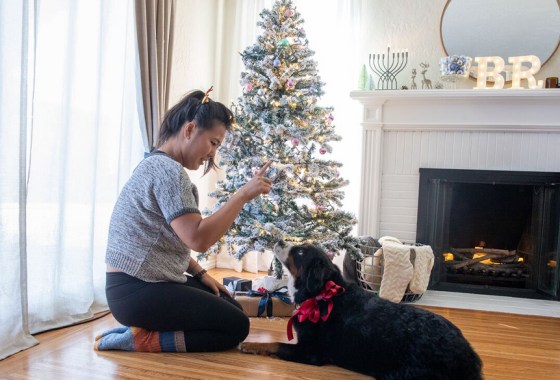 Best 4-foot Christmas tree