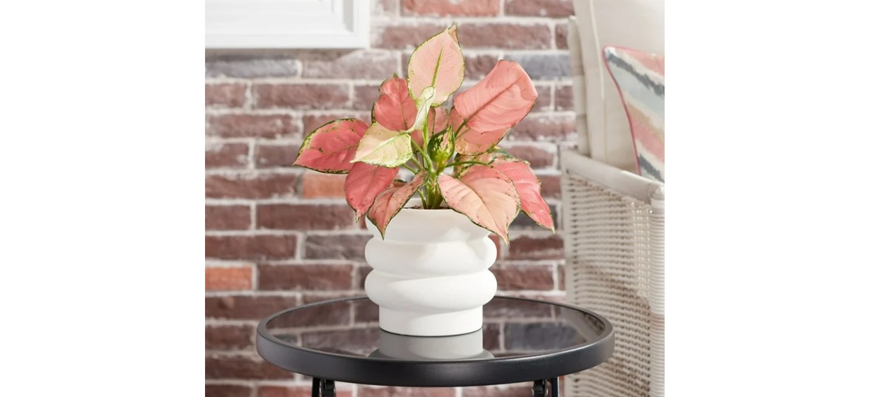 Better Homes &amp; Gardens Pottery Chinooke Bubble Ceramic Planter on table in frony of brick wall