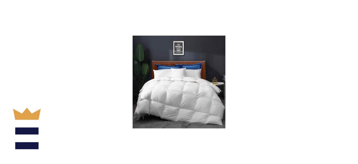 Apsmile All Seasons Goose Down Comforter 