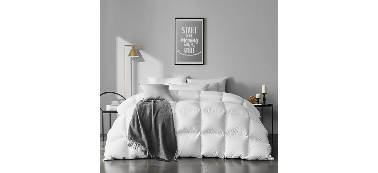 White Apsmile Feather Down Comforter