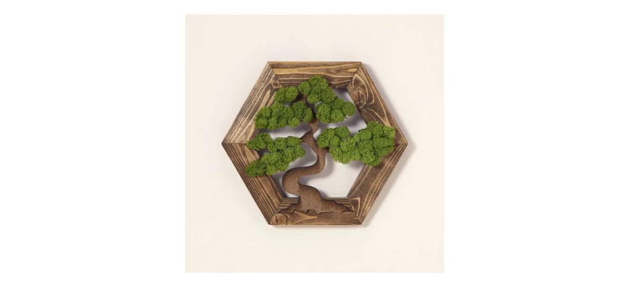 Best Chrissy Lull Lucky Bonsai Moss Wall Art