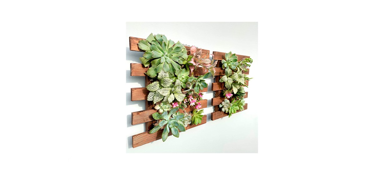Best ShopLaLa Succulent Wall Decor Best ShopLaLa Succulent Wall Decor