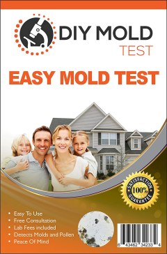 DIY Mold Test Mold Inspection Network