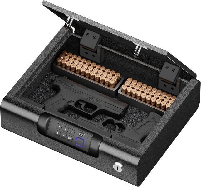 BILLCONCH 10" x 12" Biometric Gun Safe for Pistols