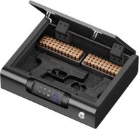 BILLCONCH 10" x 12" Biometric Gun Safe for Pistols