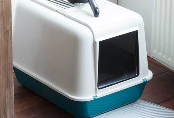 Best Covered Litter Boxes