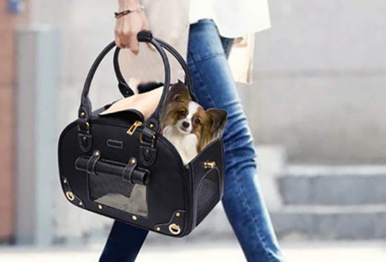 Best Dog Carrier Purses
