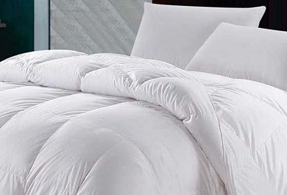 Best Down Comforters