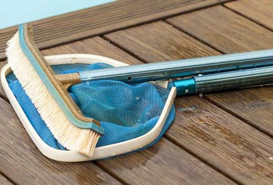 Best Pool Brushes