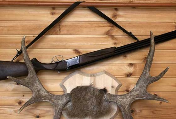 Best Gun Wall Racks