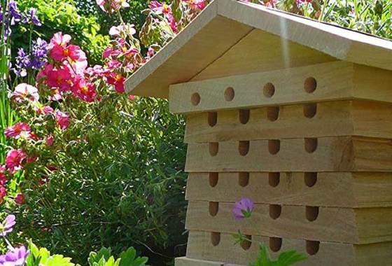 Best Beekeeping Kits