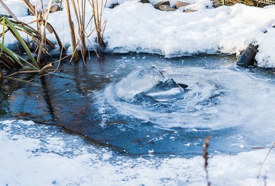 Best Pond De-Icers
