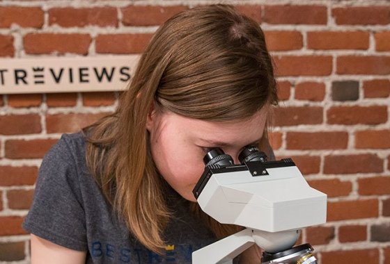 Best Microscopes