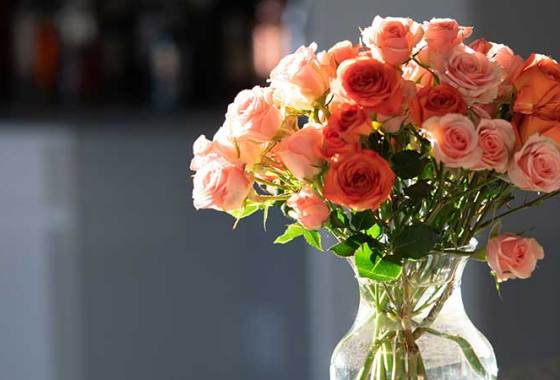 Best Glass Flower Vases