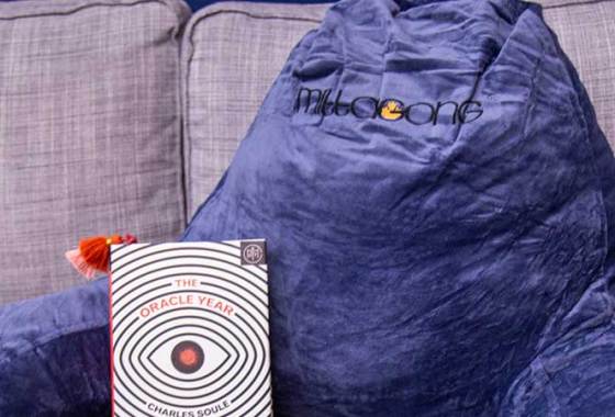 Best Reading Pillows