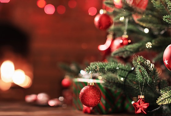 Best Holiday Ornaments