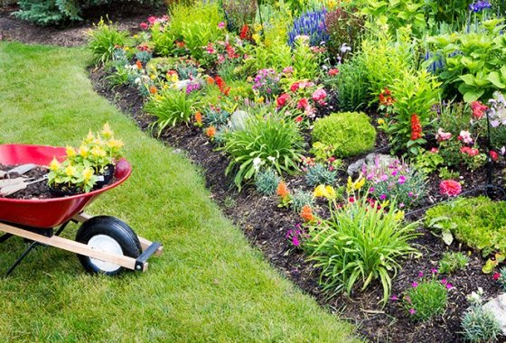 Best Wheelbarrow Tires