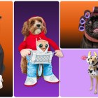 The most hilarious dog Halloween costumes of the season