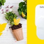 These bestselling gadgets will kill fruit flies for good