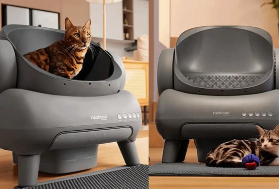 The self-cleaning litter box that changed my cat-loving life