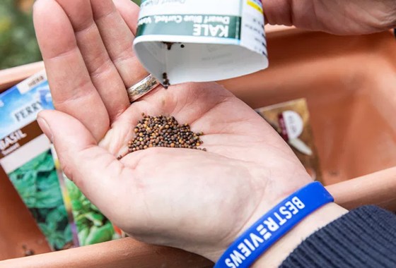 Can I use seed starter kits in the summer?