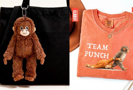Perfect merch if Punch the monkey has become your whole personality