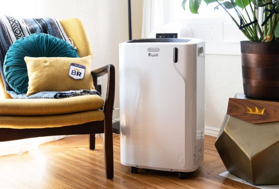 De'Longhi PAC-EM Portable AC