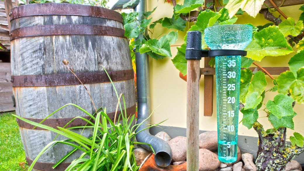 5 Best Rain Gauges Nov. 2020 BestReviews