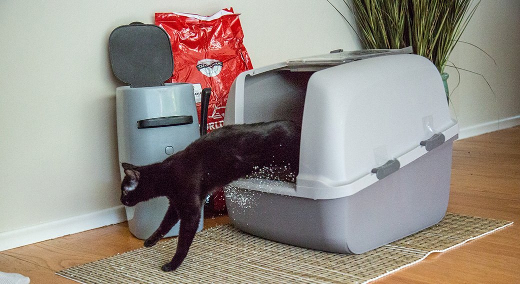 5 Best Litter Boxes Mar. 2021 BestReviews