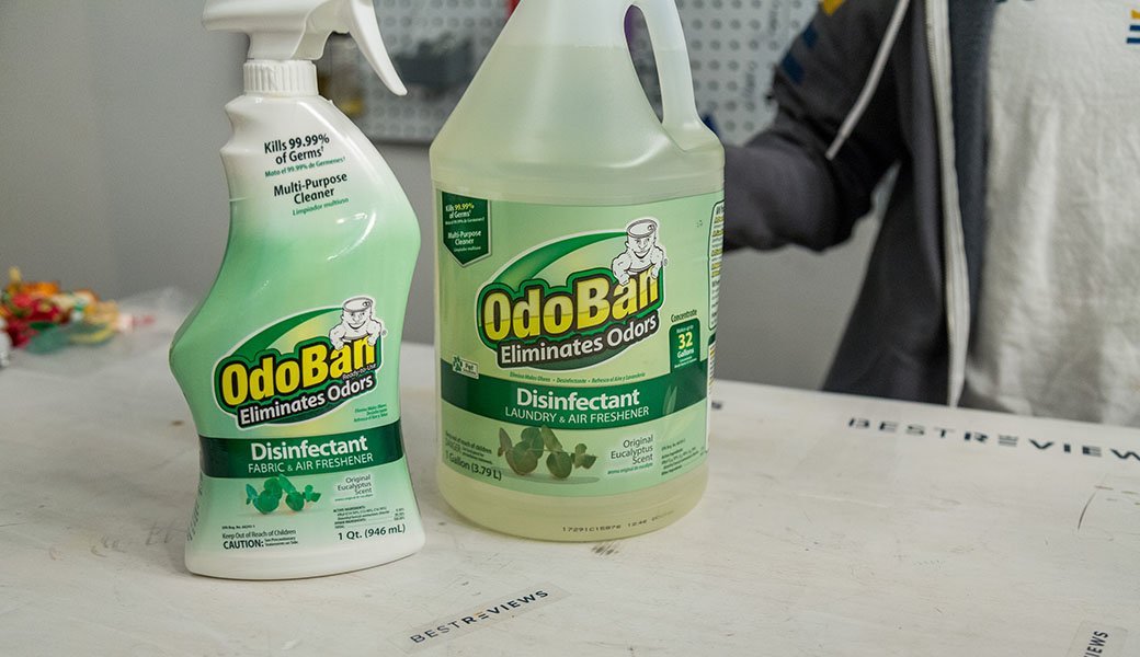 5 Best Enzymatic Cleaners Apr. 2021 BestReviews