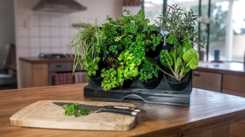 5 Best Indoor Herb Gardens Jan. 2021 BestReviews