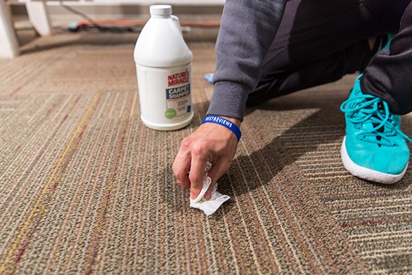carpet cleaning solutions