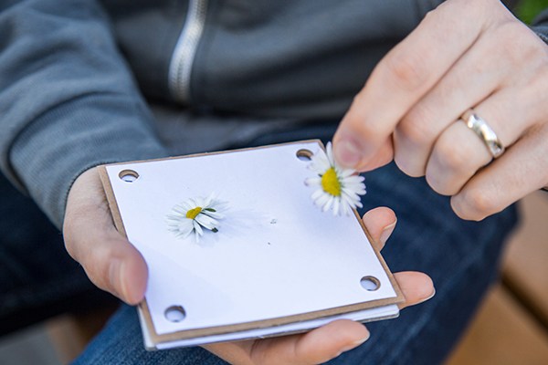 make a flower press