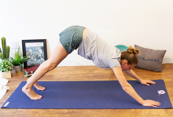 Best Alo yoga bra
