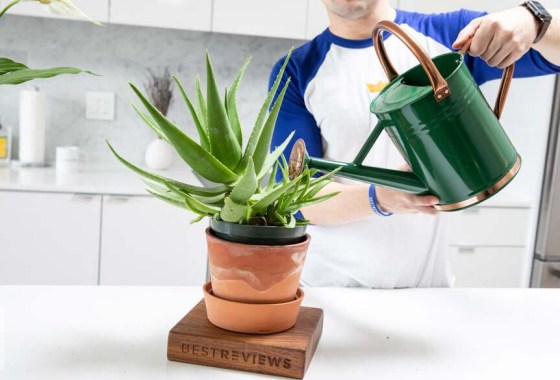 Best small watering can