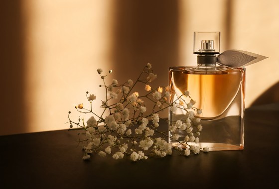 Best Bvlgari perfume