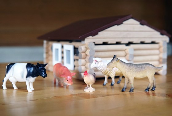 Best barn toy