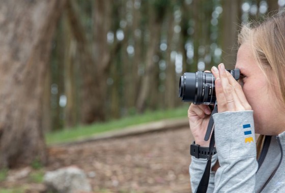 Best mirrorless camera under $1000