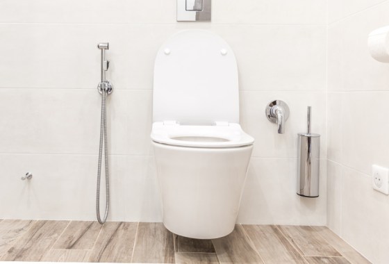 Kohler bidet vs. Omigo bidet