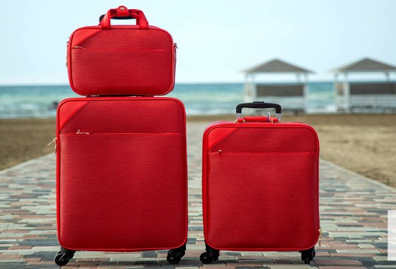 Best luggage sets under $100