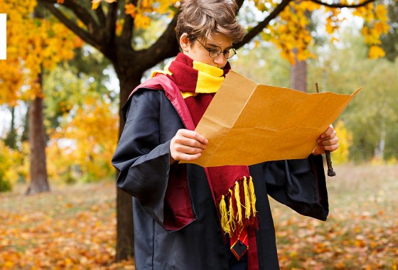 Best Harry Potter costume for adults