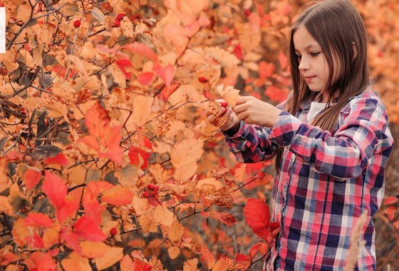 Best fall shirts for kids