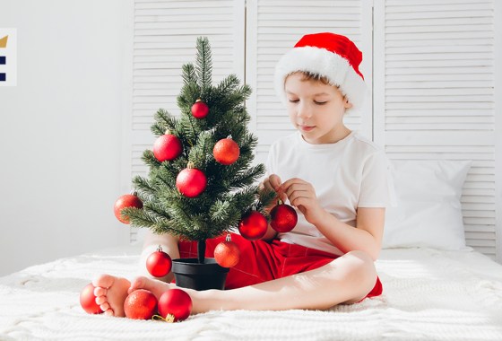 Best small Christmas tree