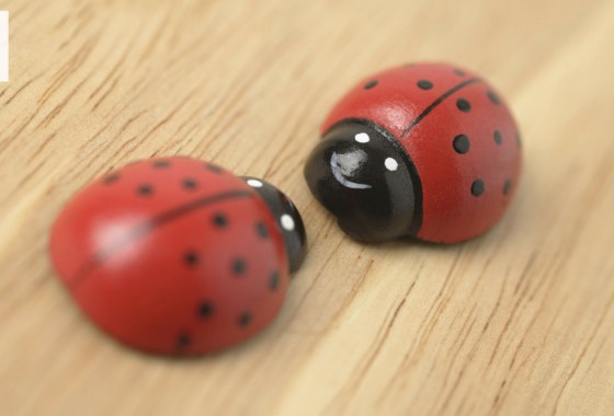 Best ladybug toy