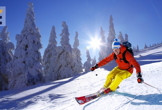 9 best ski brands