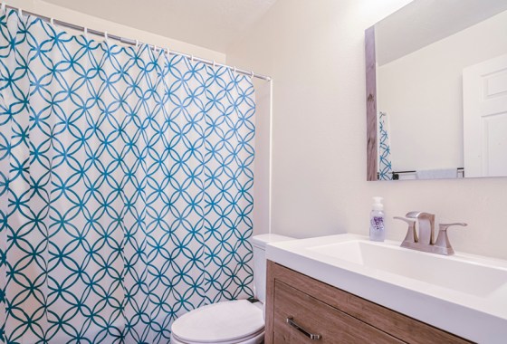 Best vinyl shower curtain